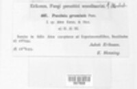 Image Associated With the Occurence